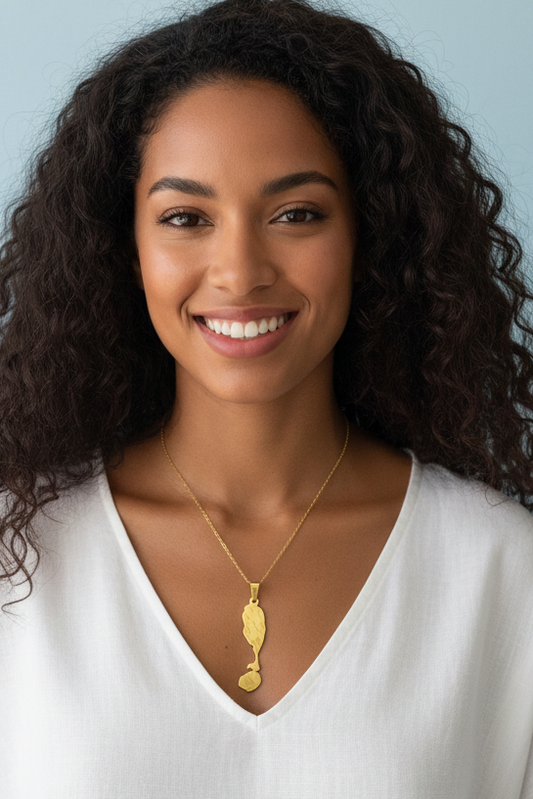 Saint Kitts and Nevis Cities Map Pendant Necklaces